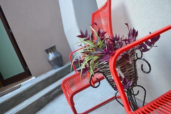La Salvia E Il Lampone Bed & Breakfast Pove del Grappa Dış mekan fotoğraf