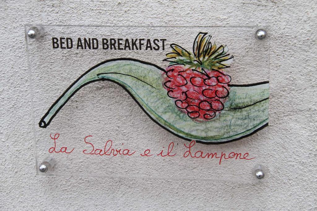 La Salvia E Il Lampone Bed & Breakfast Pove del Grappa Dış mekan fotoğraf